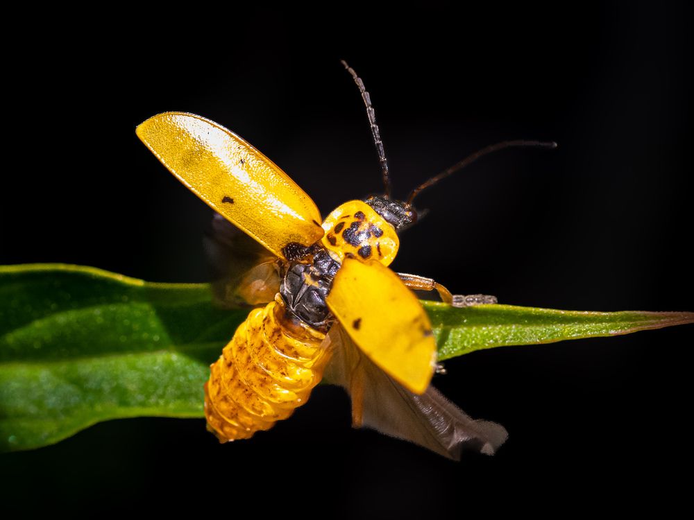 Photograph by Silvio José
