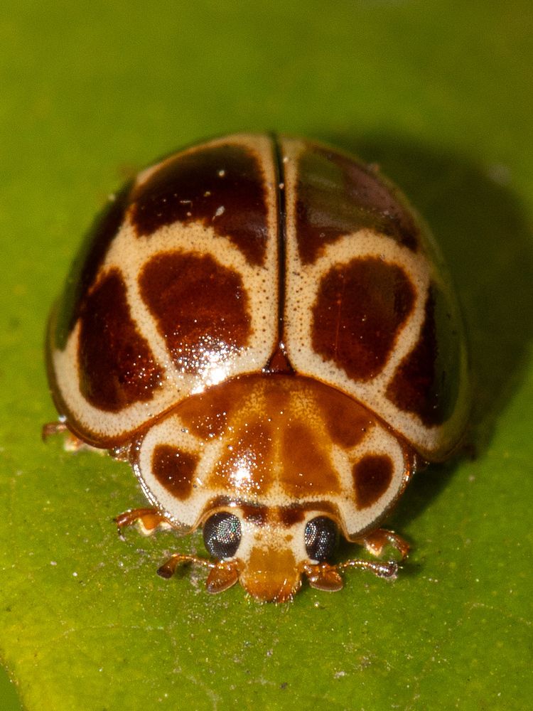 Photograph by Silvio José