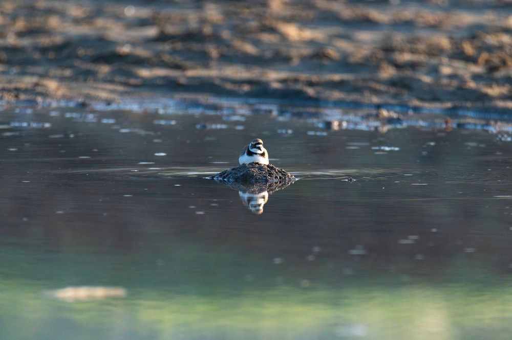 Photograph by Рамзан Давлетмирзаев