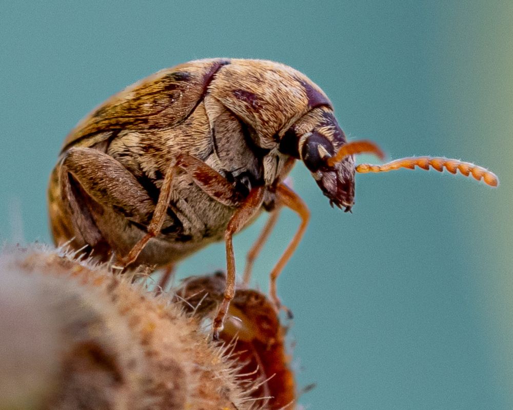 Photograph by Silvio José