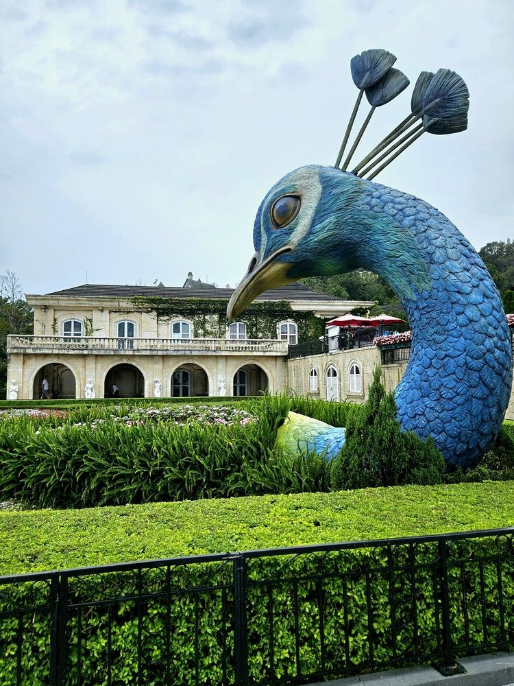 Фотография автора Tatiana Shirenko