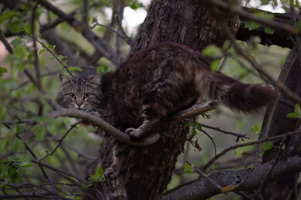 Photograph by Марина Сосновская