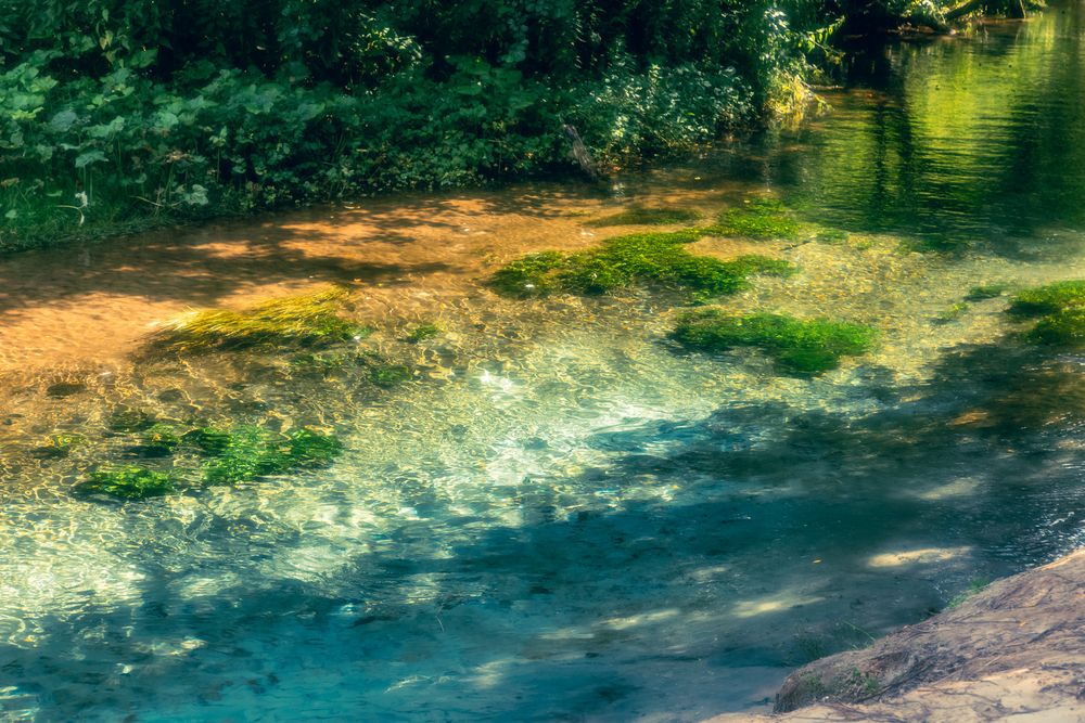 Photograph by Сагдиева Эльвира