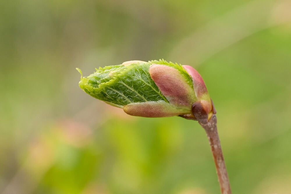 Photograph by Дмитрий Ельчанинов