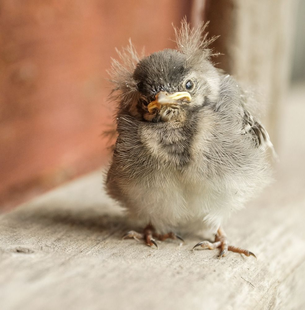 Photograph by Игорь Тамми