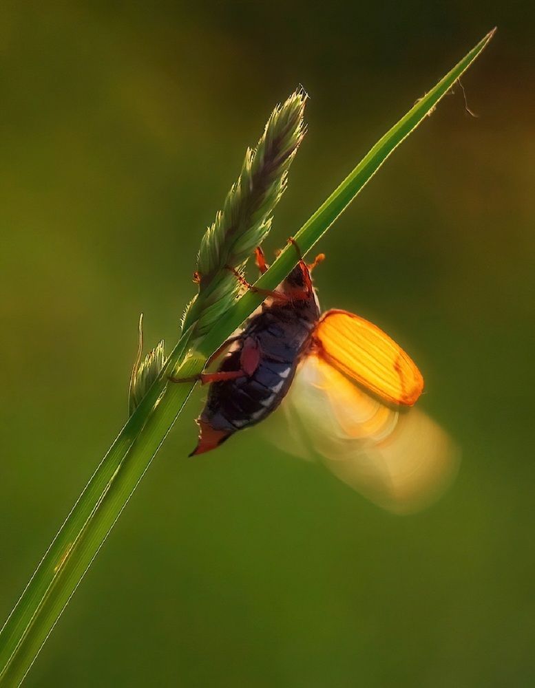 Photograph by Владимир