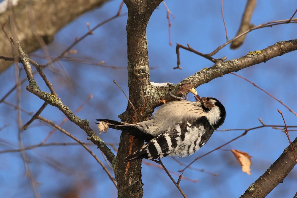 Photograph by Александр Кожевников