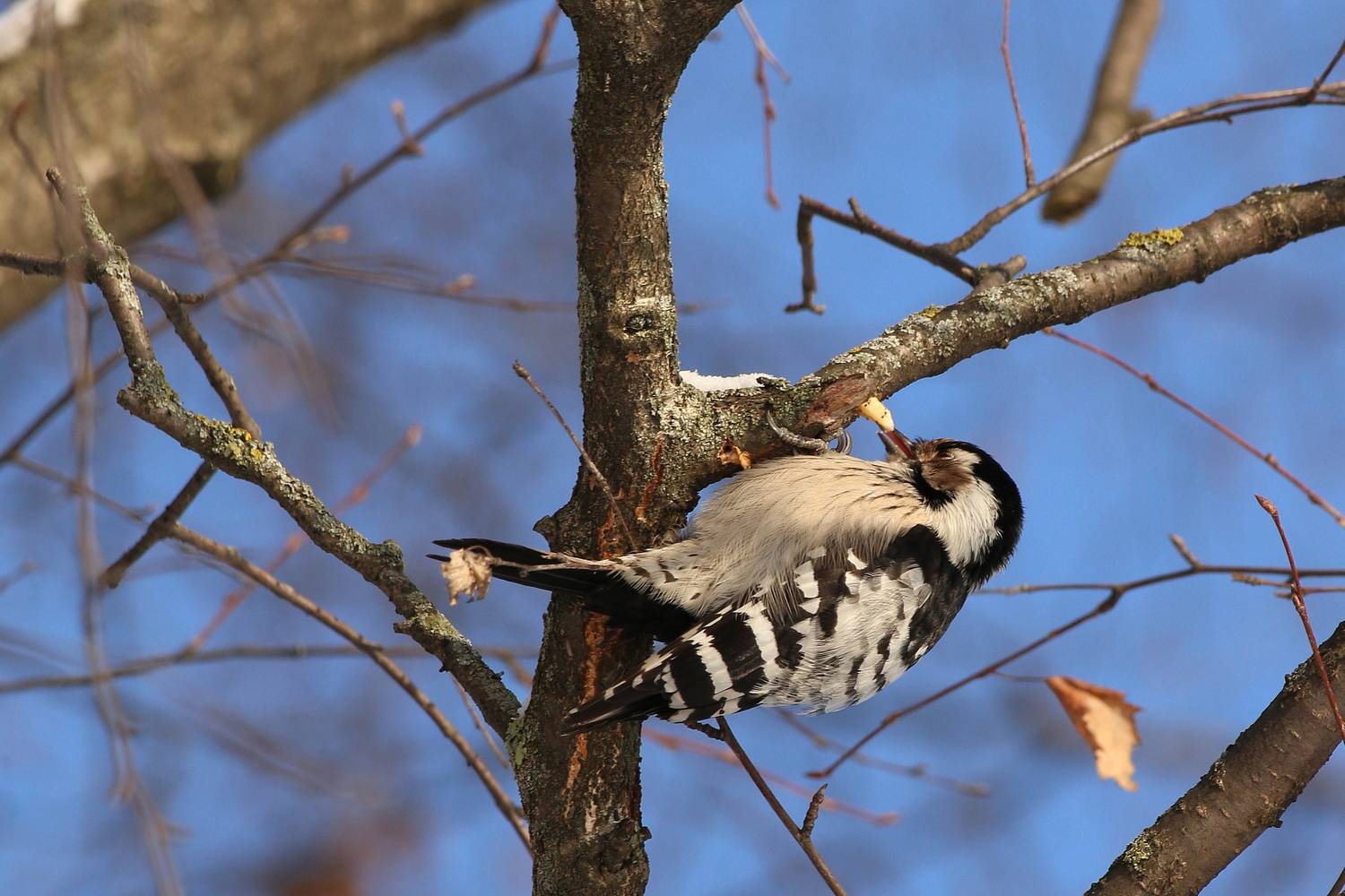 Фотография #13192017