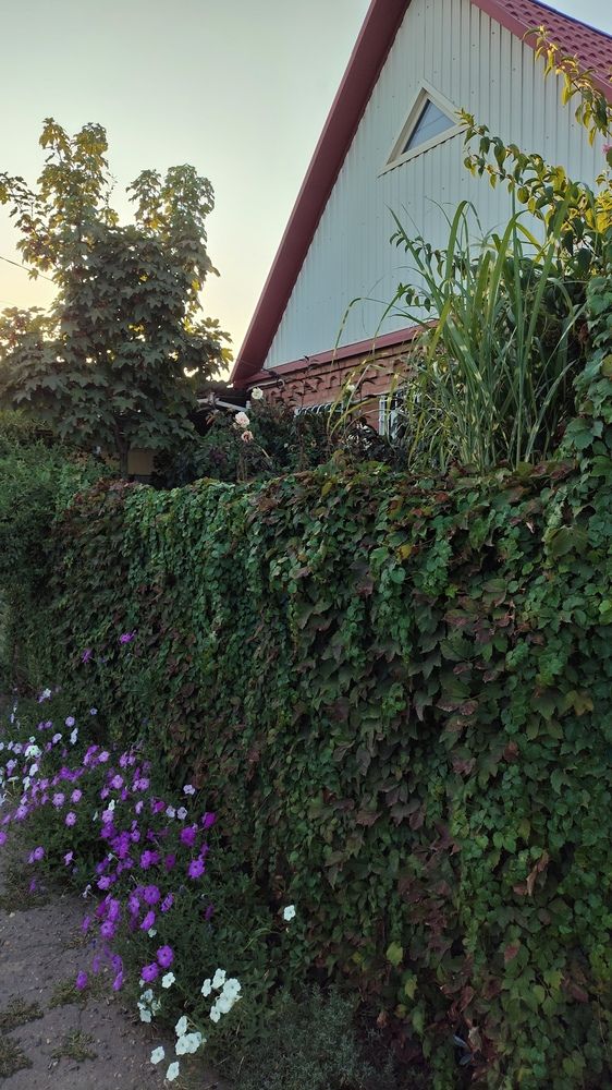 Photo #13192036