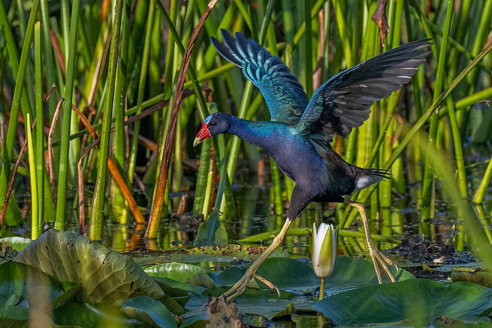 Photograph by Erik Nelson