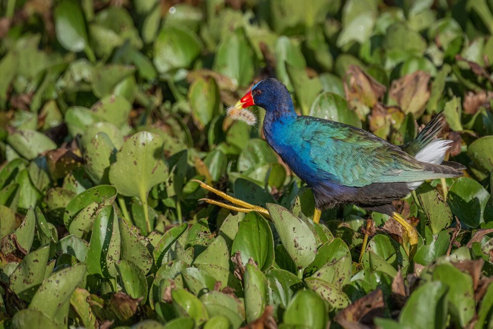 Фотография автора Erik Nelson