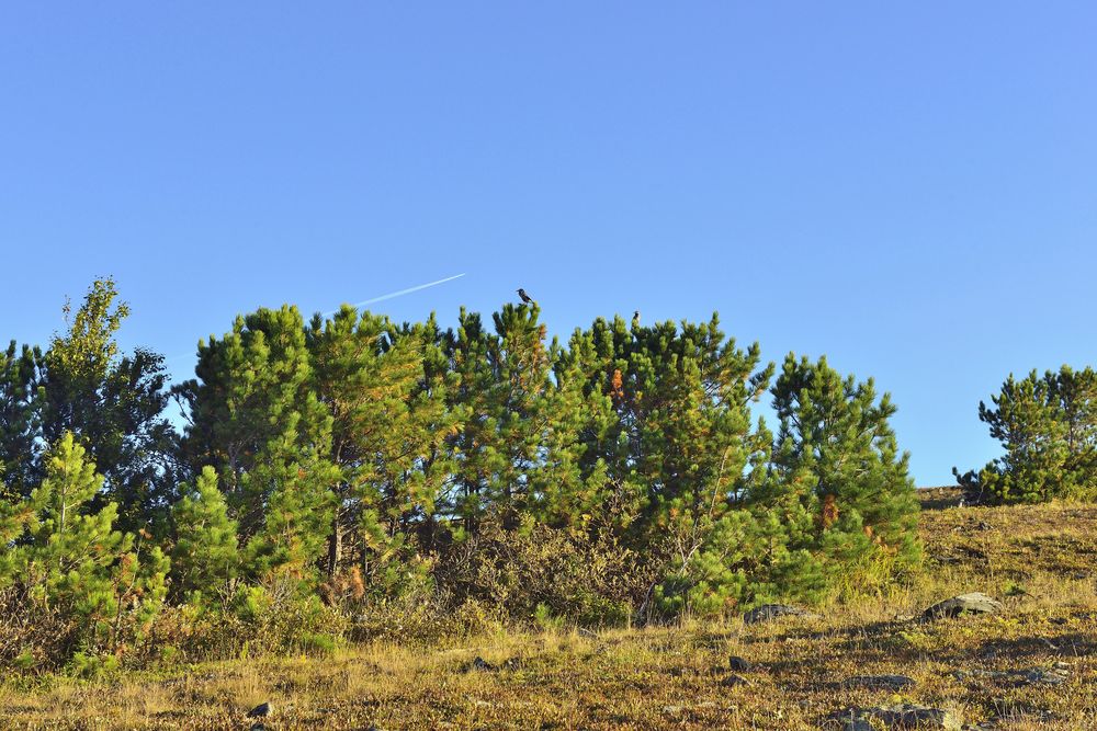 Photograph by Юрий Тимофеев