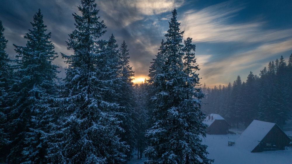 Photograph by Gregor Kobilica