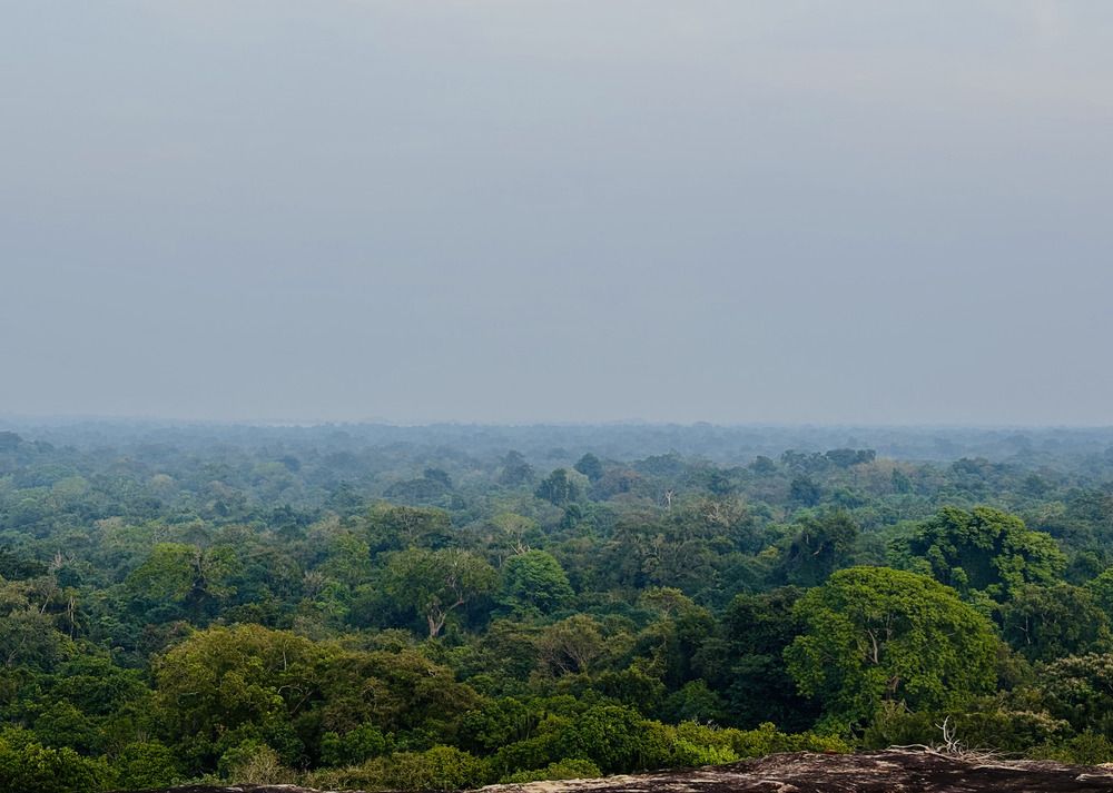 Photograph by K.AKILA NIDUSH