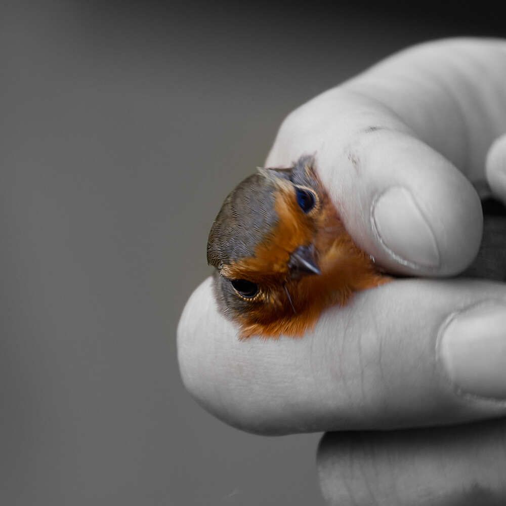 Photograph by Valentin Korotky-Adamenko