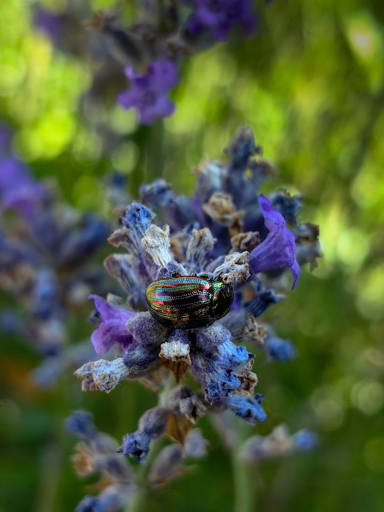 Photograph by Edgars Kublins