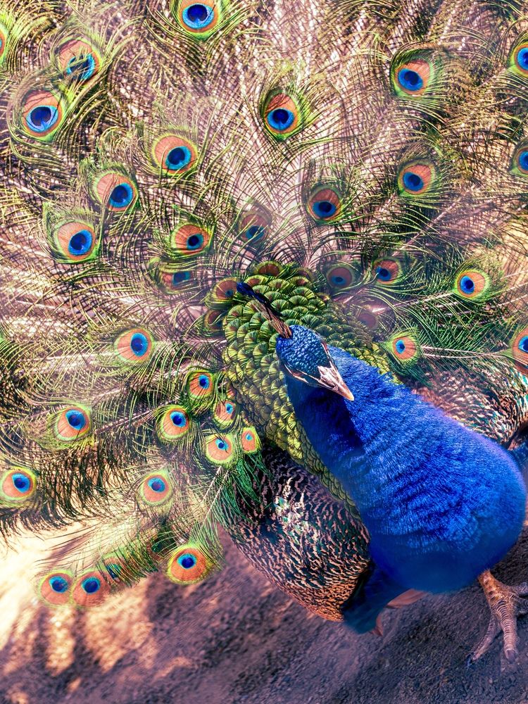 Photograph by Edgars Kublins