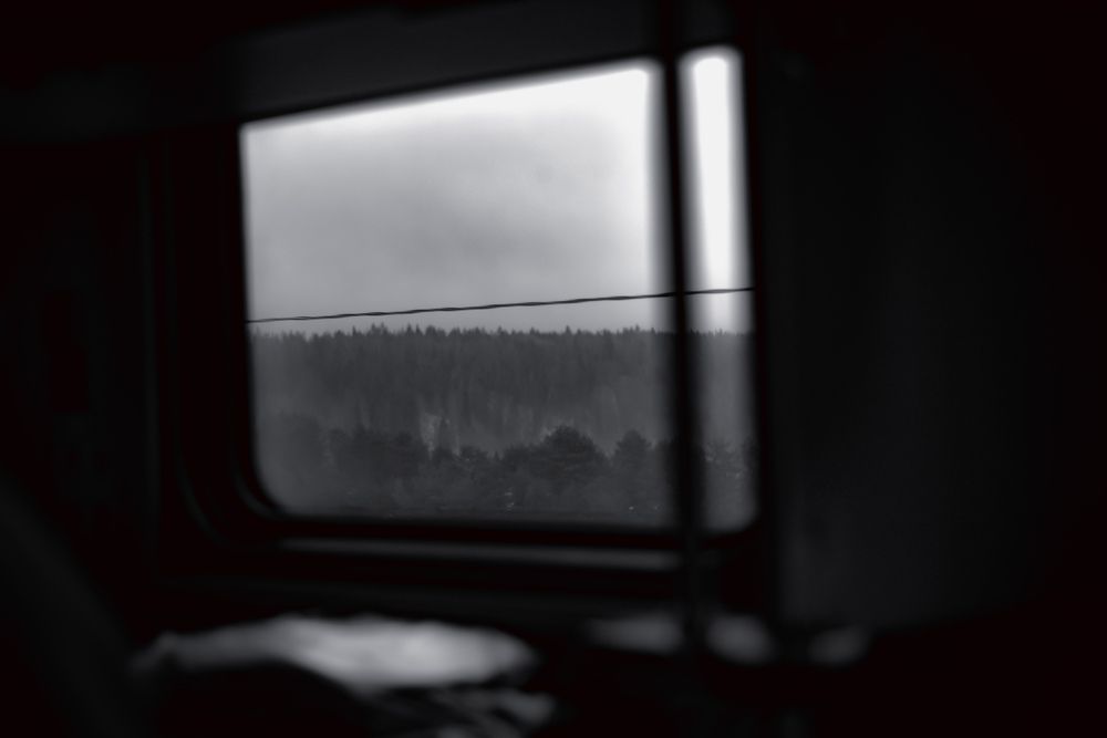 Photograph by Elvira