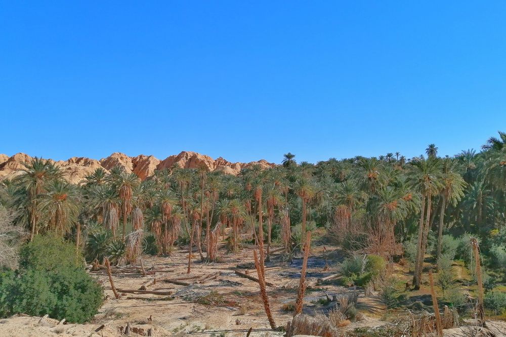 Photograph by Azzeddine Memmou