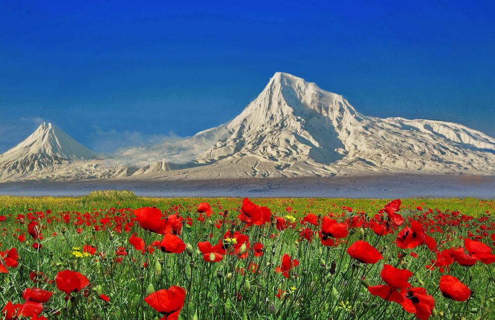 Арарат и Малый Арарат ( Сис и Масис ).