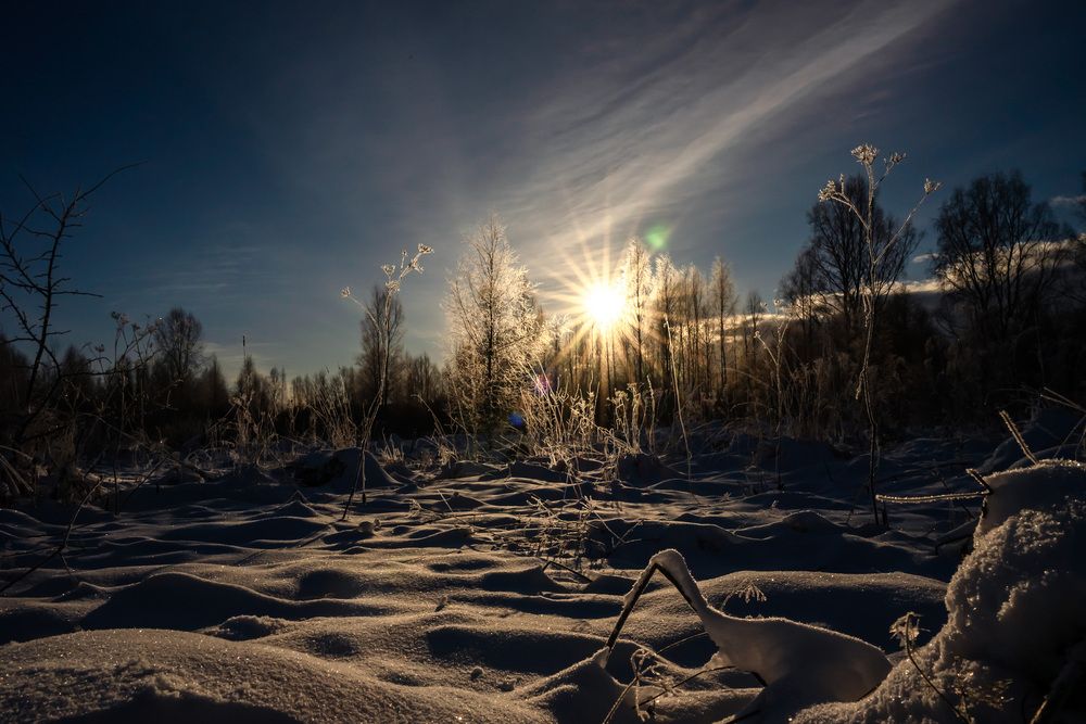 Photograph by Константин Бородулин