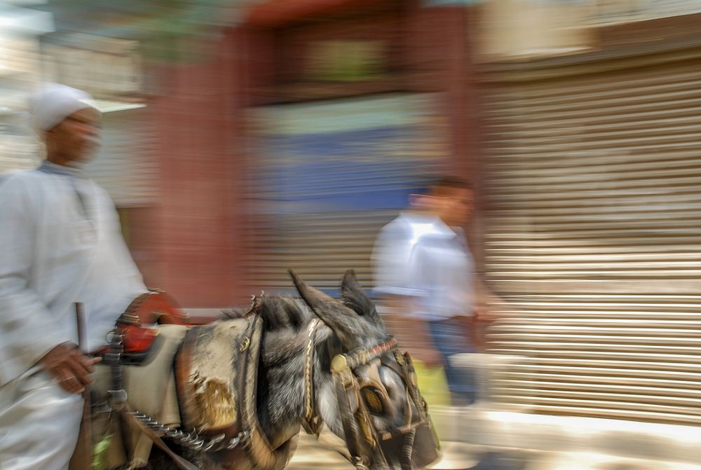 Фотография автора Youssef Sabry