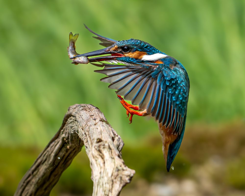 Photograph by Дорн Оксана