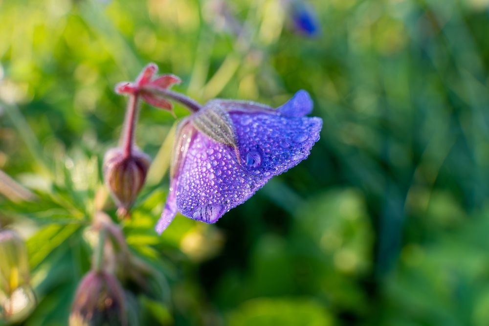 Photograph by Михаил Косолапов