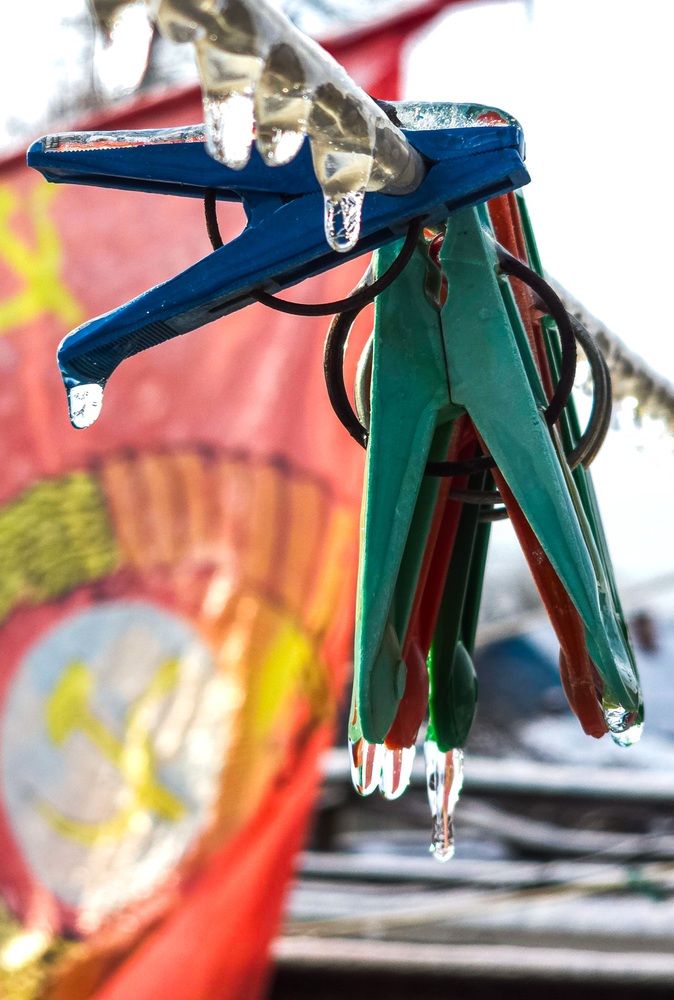 Photograph by Галчонок Ахмерова