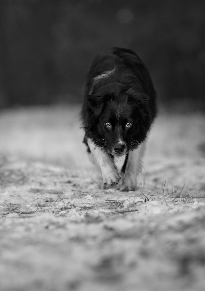 Photograph by Monika Maciejewska