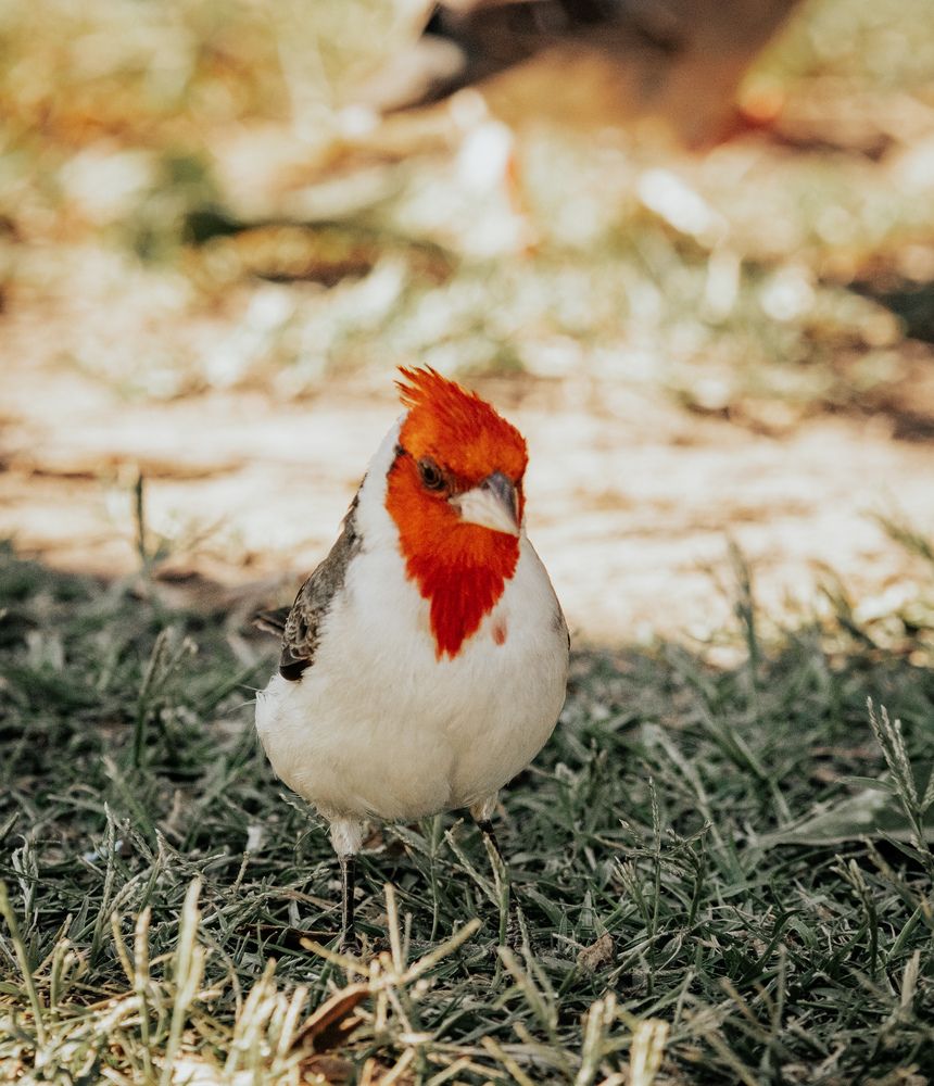 Photograph by Agostina Campisi Morano