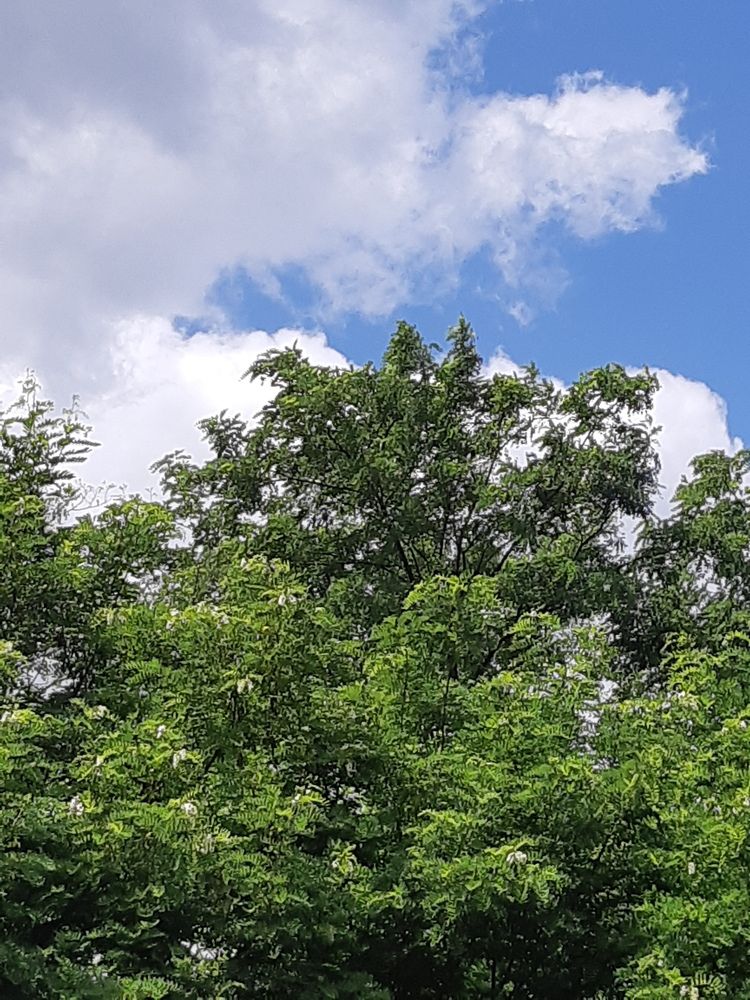 ...if it\'s not green....it\'s blue....