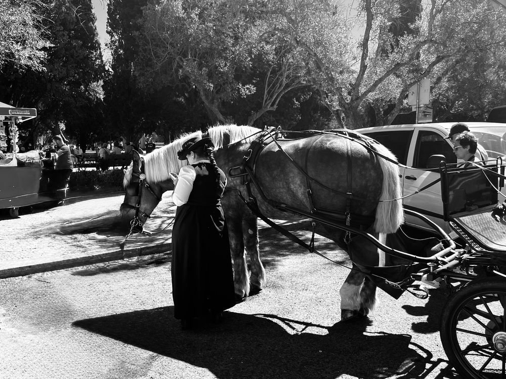 Photograph by Алла Киселева