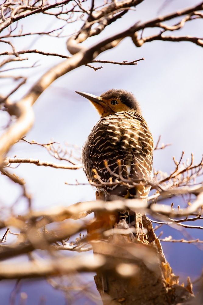 Photograph by elieser barbosa