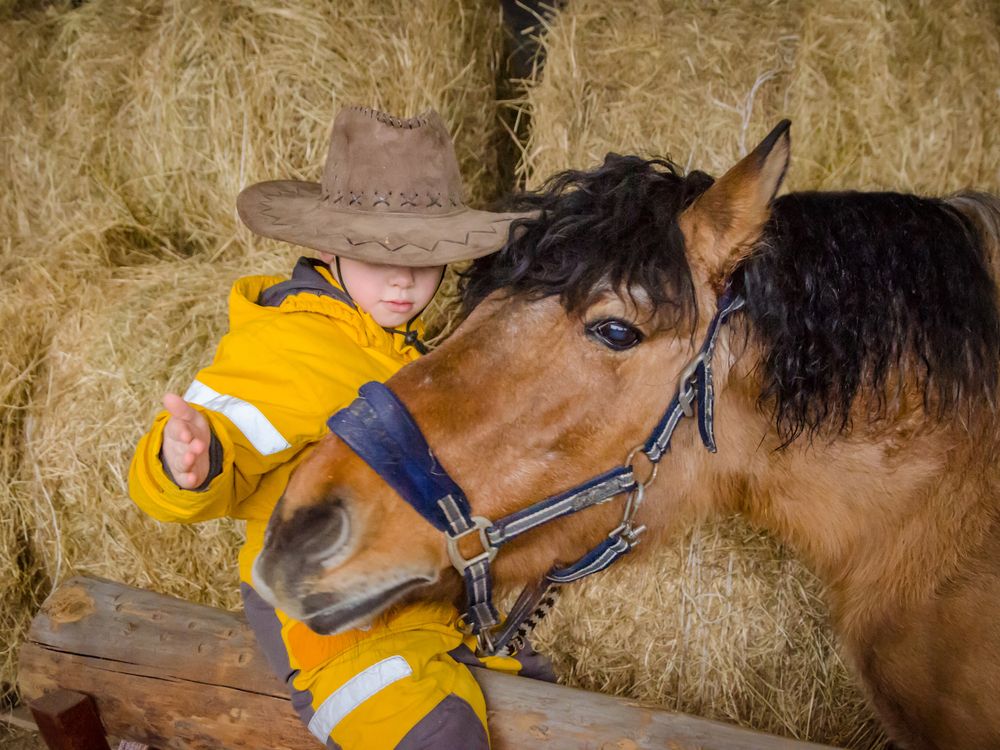 Photograph by Ольга Заповедная