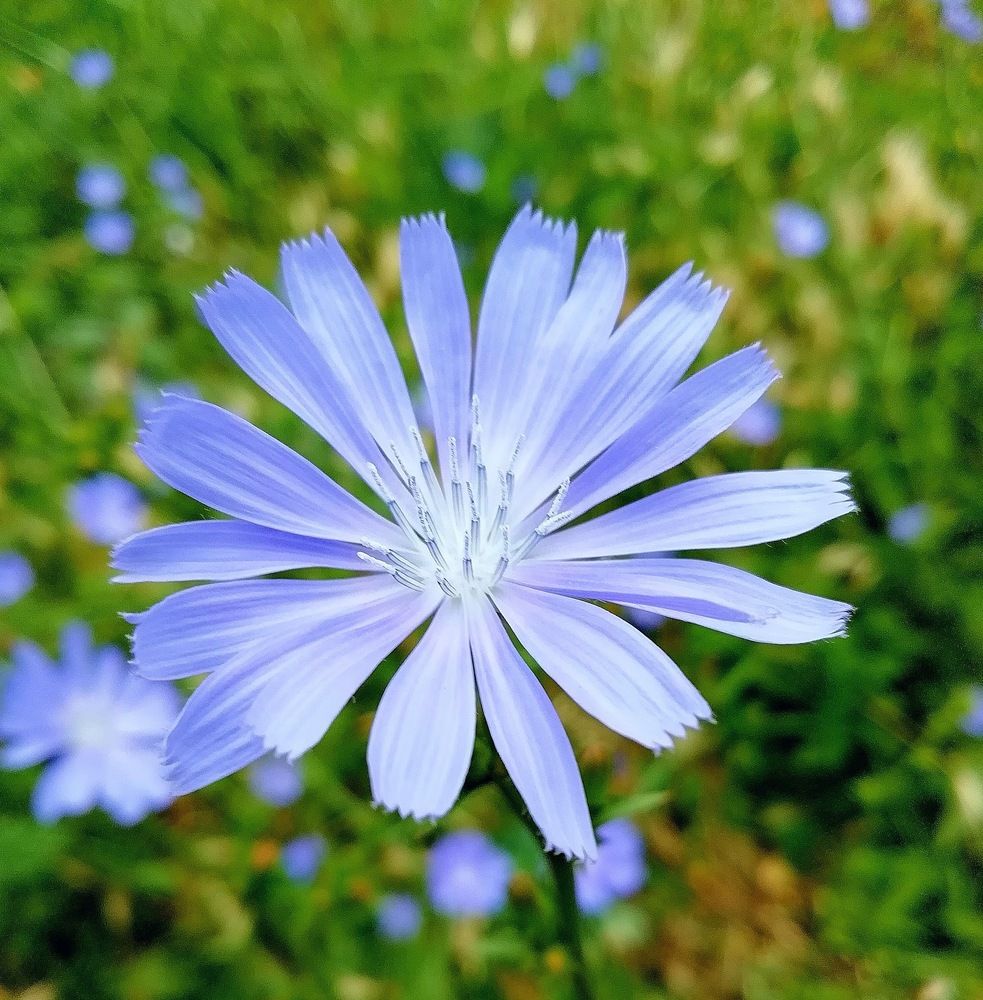 Photograph by Светлана Ищенко