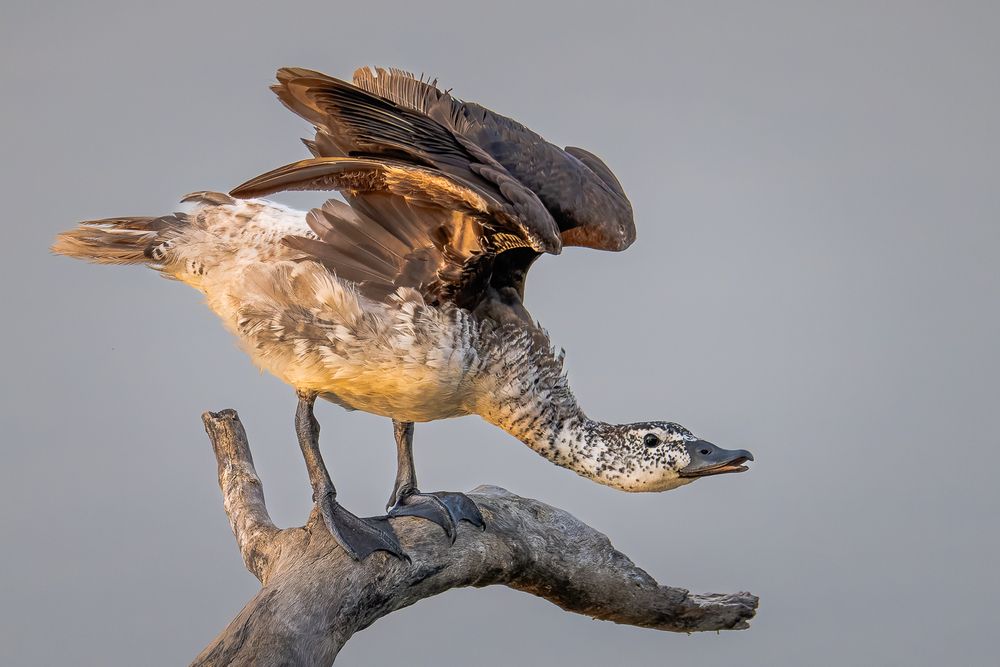 Photograph by Slutskiy Nikolay