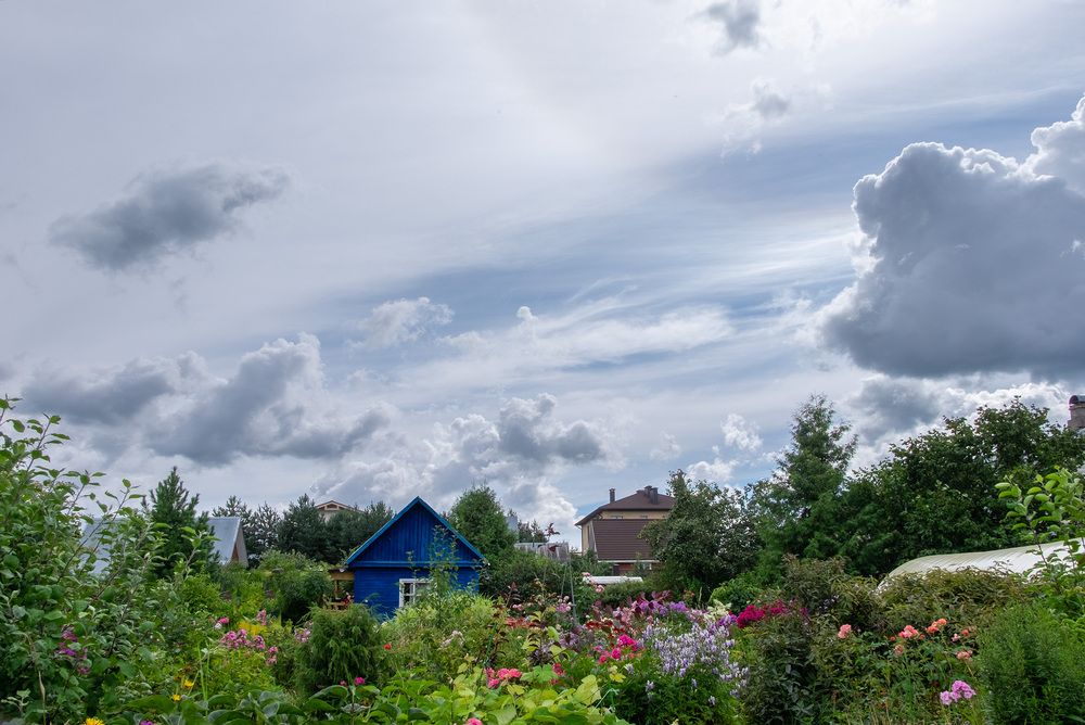 Фотография автора Наталья Липовская