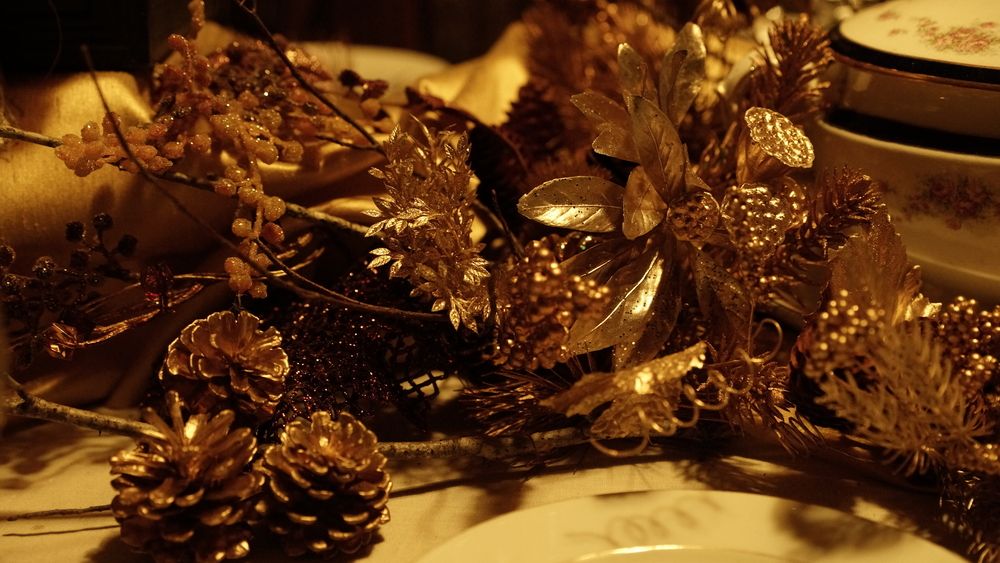 Фотография автора Uesan Aliace