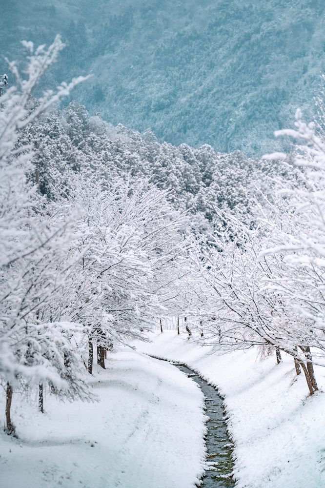 Фотография автора Uesan Aliace