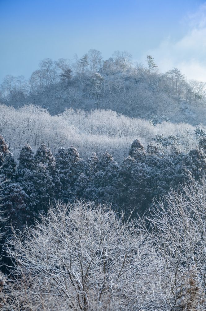 Фотография автора Uesan Aliace