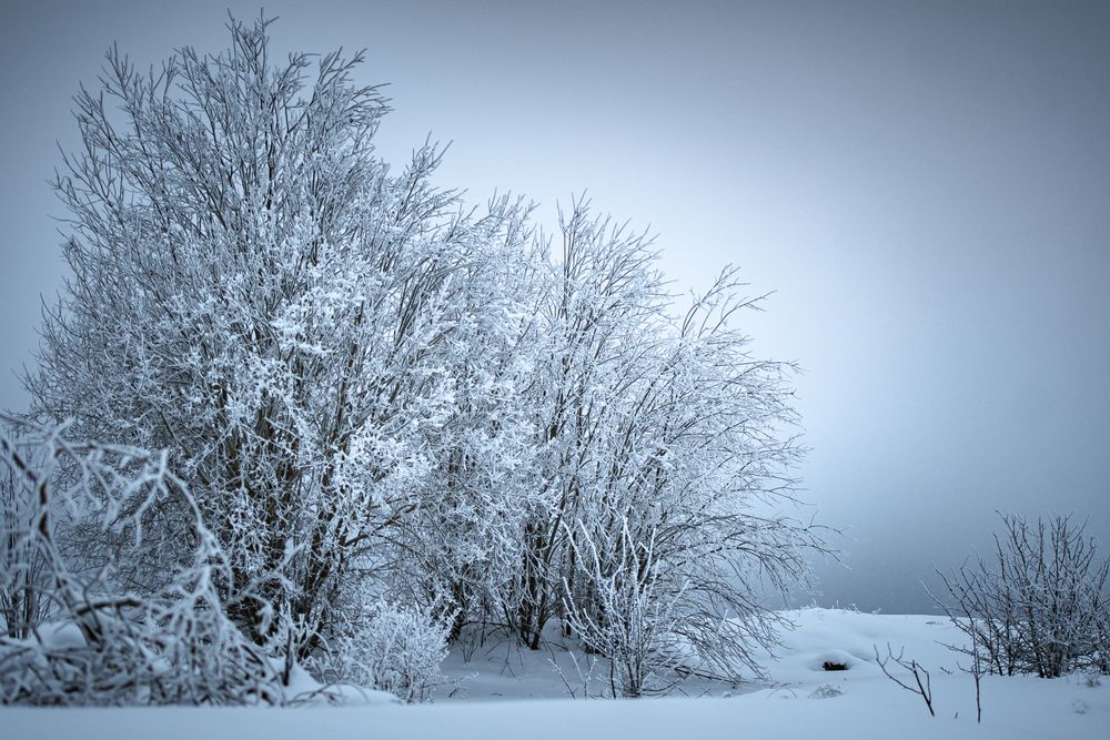 Photograph by Maria Chistova (Pasternak)