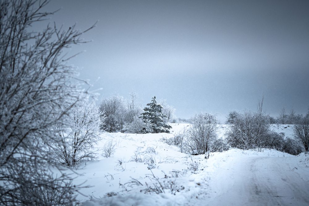 Photograph by Maria Chistova (Pasternak)