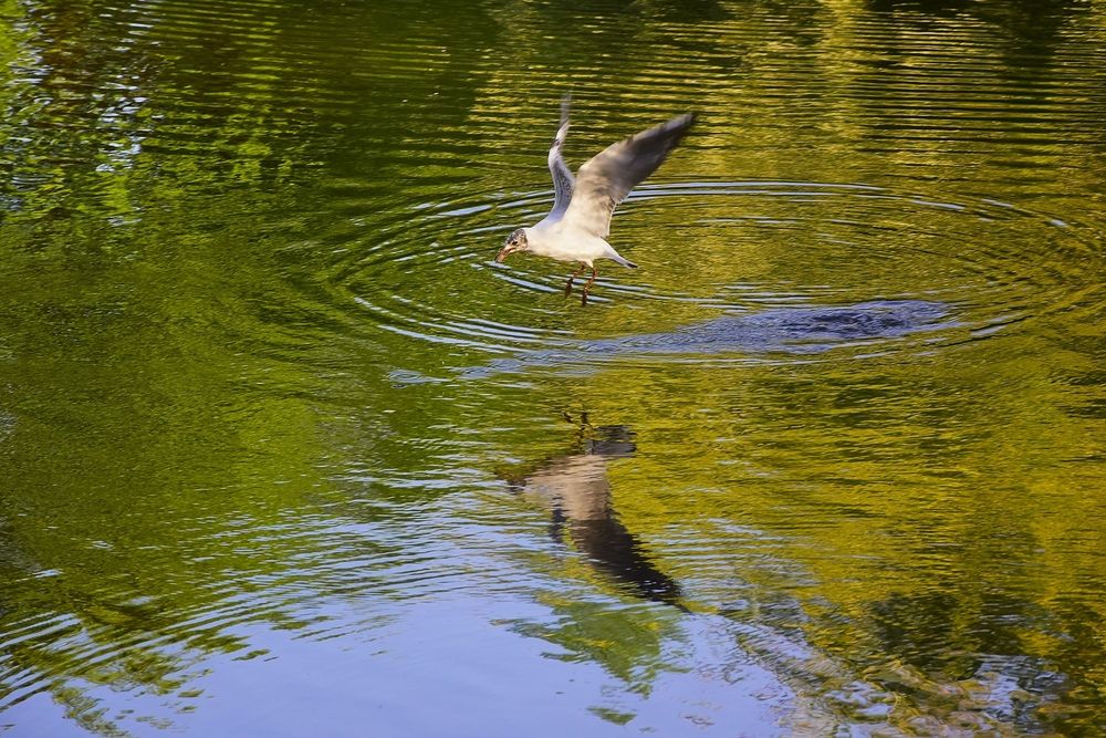 Фотография автора Альбина Хвастунова