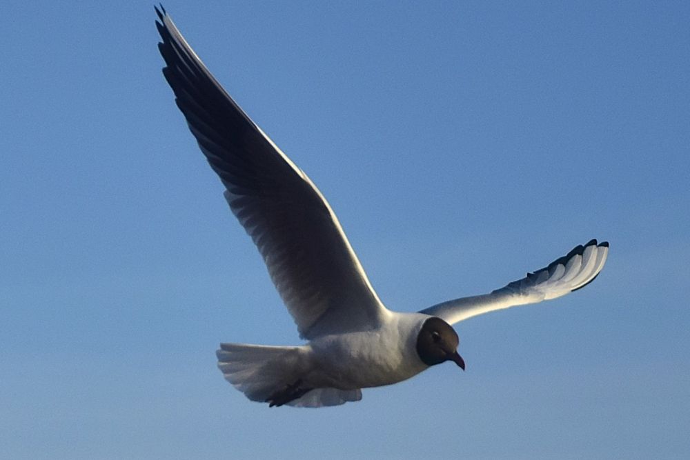 Фотография автора Альбина Хвастунова