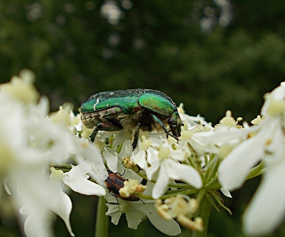 Photograph by Александр Прядко