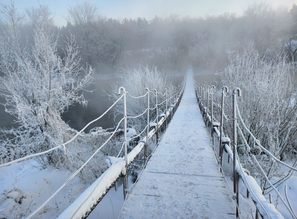 Фотография автора Кухта Мария