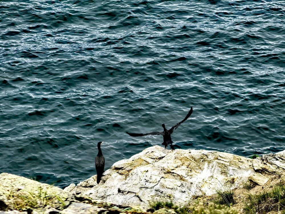 Photograph by Максим Тельтевский