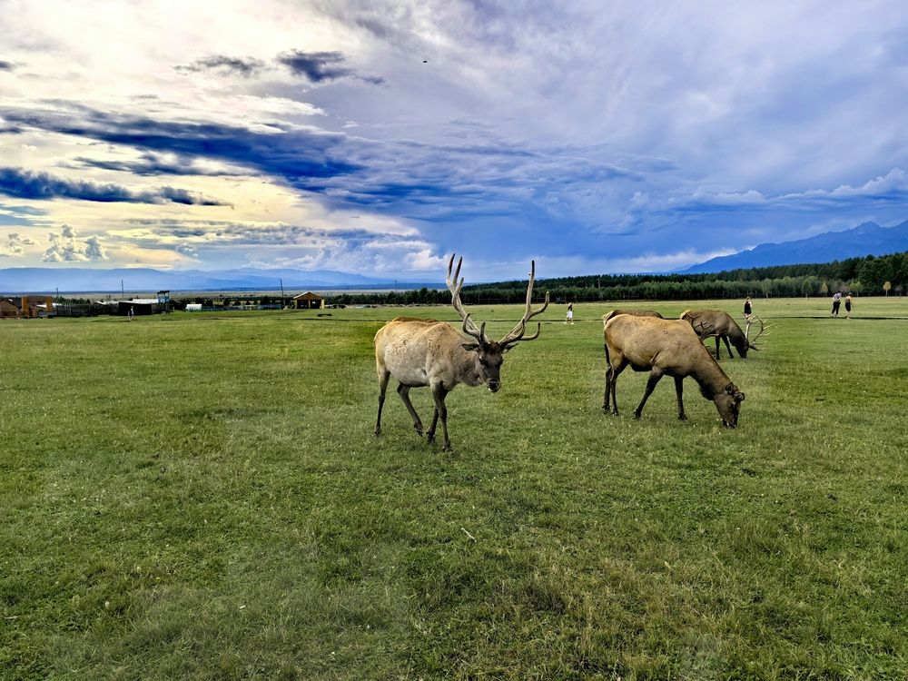 Photograph by Максим Тельтевский