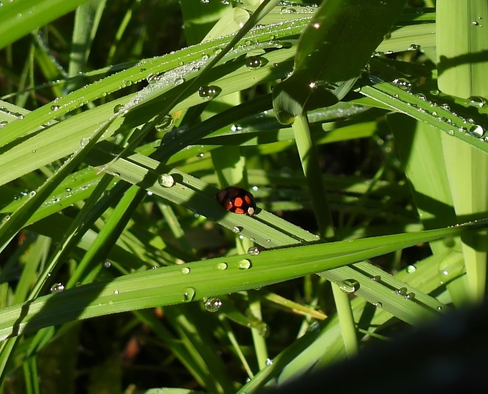 Photograph by Александр Прядко